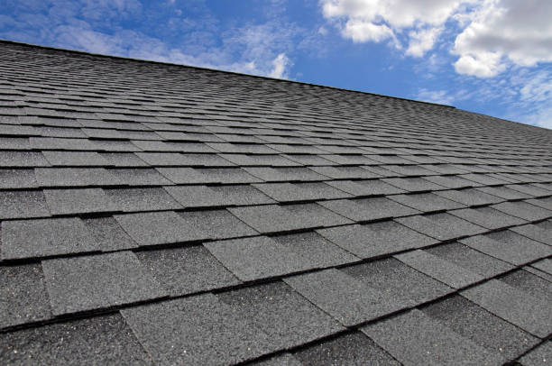 Best Roof Moss and Algae Removal  in Reading, OH
